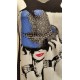 Chandail la femme au chapeaux Tango Mango 2016